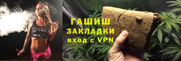 гашик Алексин