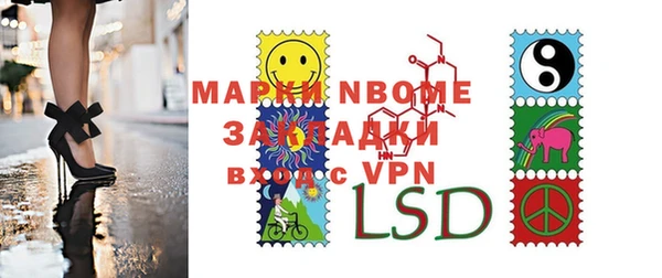 гашик Алексин