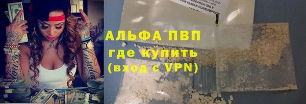 гашик Алексин