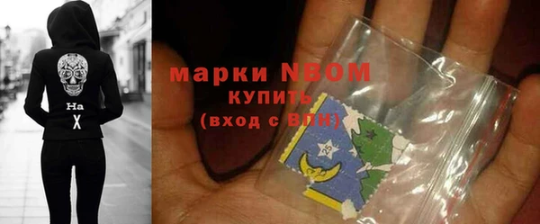 гашик Алексин