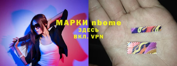 гашик Алексин