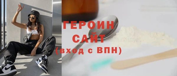 гашик Алексин