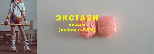 гашик Алексин