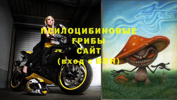 эйфоретик Алексеевка