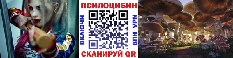 цена   Арамиль  blacksprut вход  Псилоцибиновые грибы ЛСД 